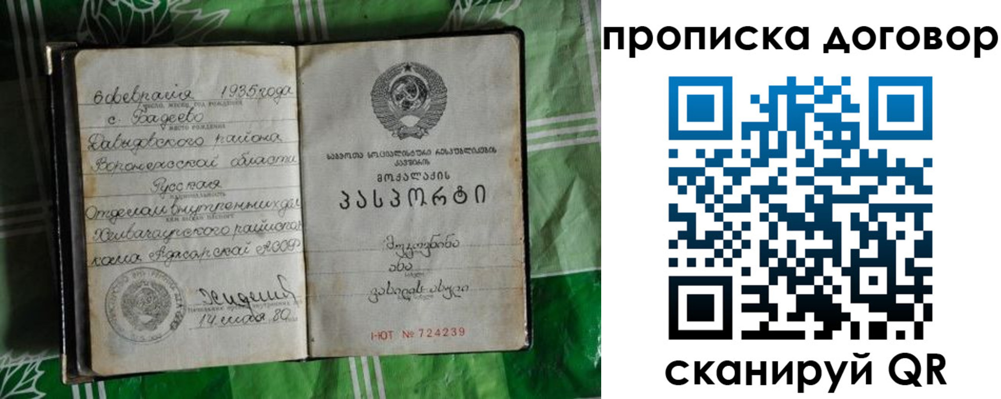 прописка в Ярославской области